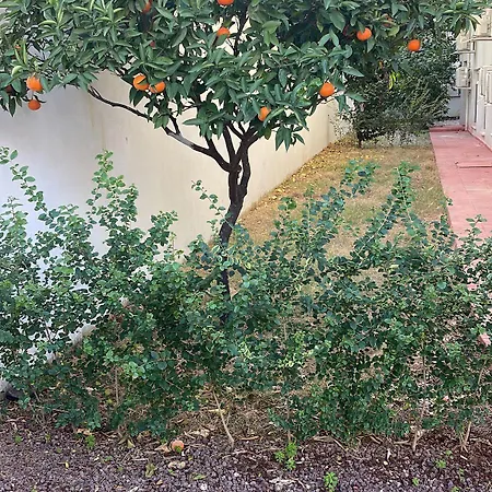 아파트호텔 Abc 안탈리아